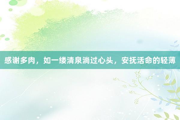 感谢多肉，如一缕清泉淌过心头，安抚活命的轻薄